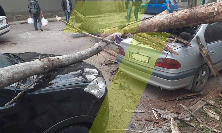 В Малиновском районе Одессы аварийное дерево упало на машины