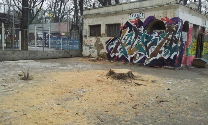 Одессит: Деревья в Старобазарном сквере были уничтожены из-за арендатора туалета