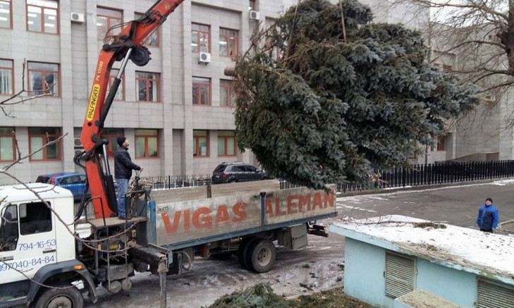 Возле Одесской ОГА коммунальщики срубили огромную голубую ель
