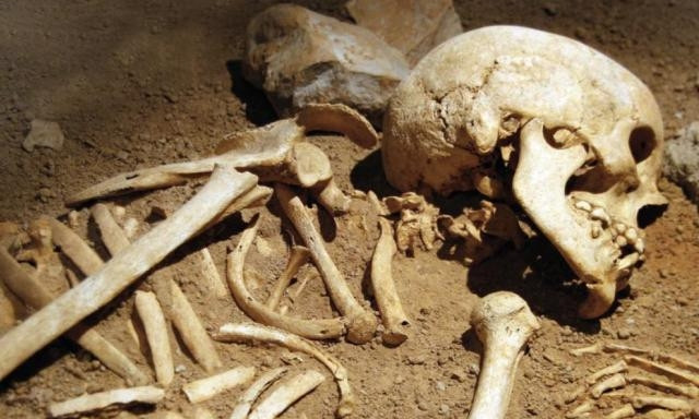 На заброшенной свиноферме в регионе нашли человеческий скелет