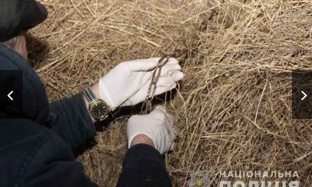 В Одесской области 7-летний ребёнок задохнулся в цепях во время игры
