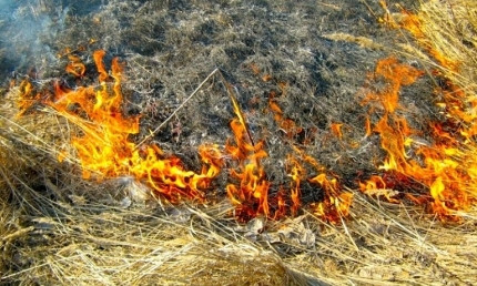 За сутки ГСЧС тушили 27 пожаров по Одесской области