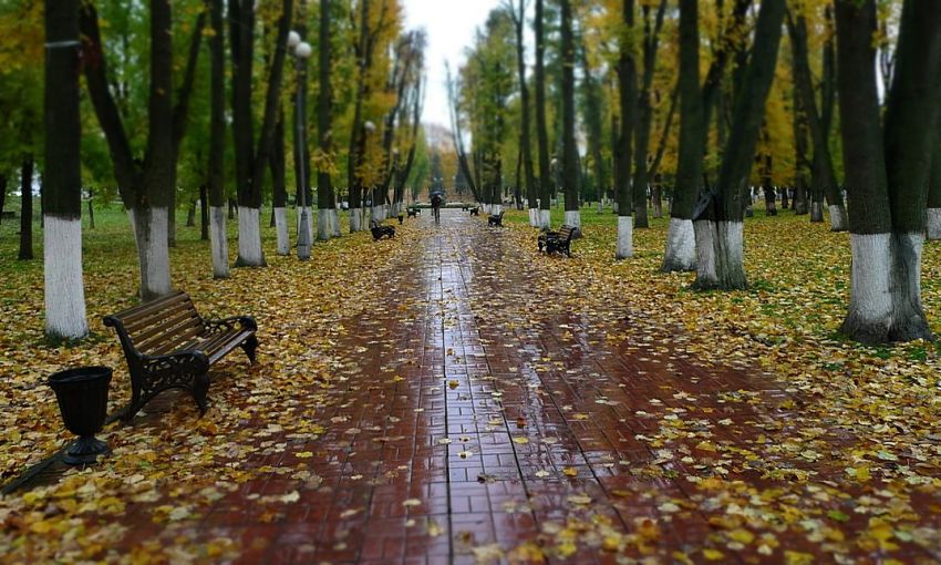 Какой будет погода второго октября?
