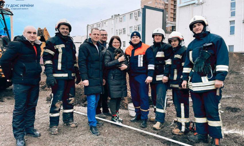 Одесские спасатели достали щенка, провалившегося в яму