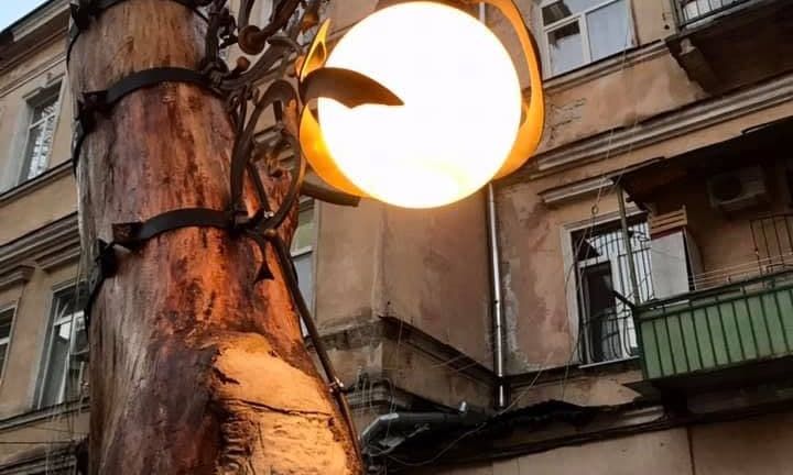 В Одессе сломанное дерево стало произведением искусства