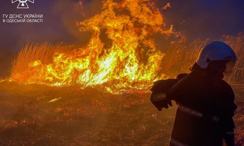 Горела сухая трава и камыши: в Одессе произошел пожар в экосистеме