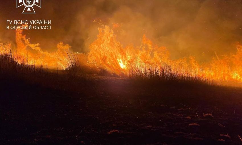 В Одессе горело 2 тысячи квадратных метров полей орошения
