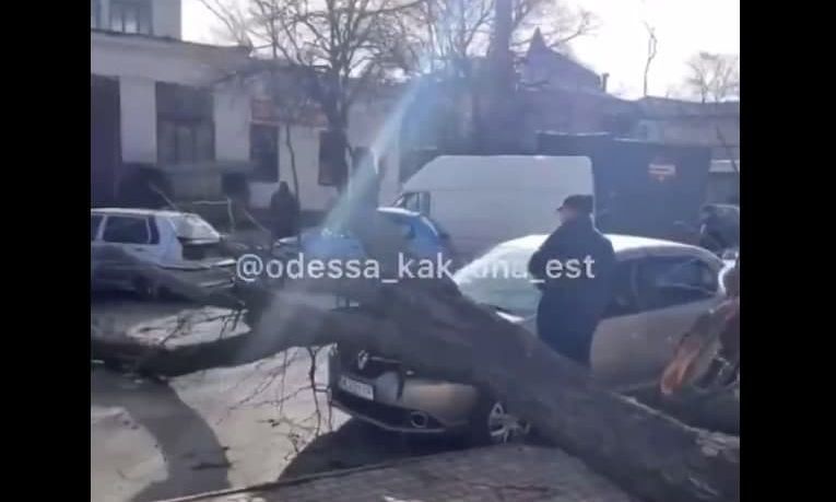 На Краснослободской огромное дерево рухнуло на автомобиль