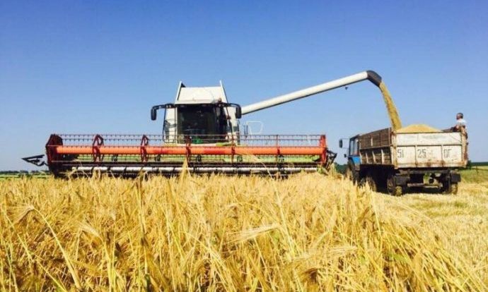 Урожай 2022: В Одесской области начали убирать ранние зерновые